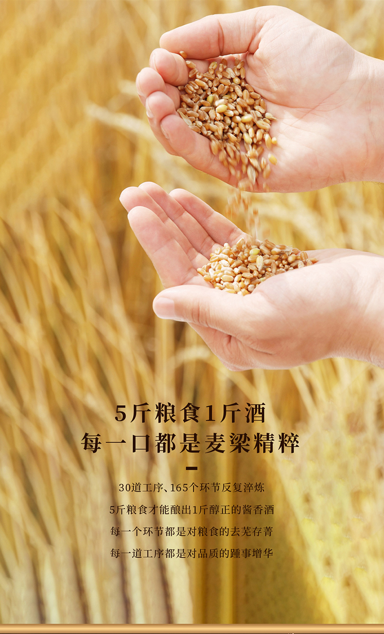 纯粮酒_08.jpg